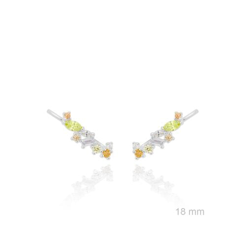 151839 Trepador de Plata de Ley