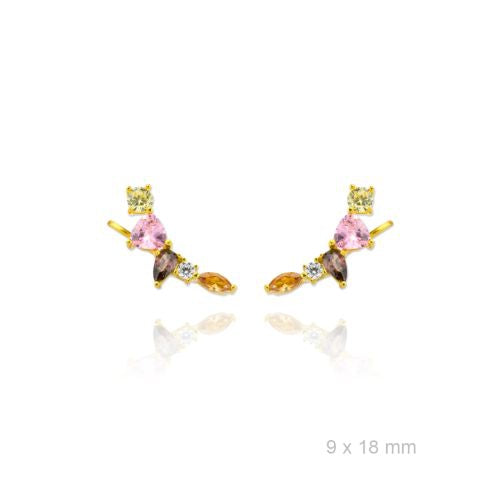 740089 Trepadores de Plata de Ley